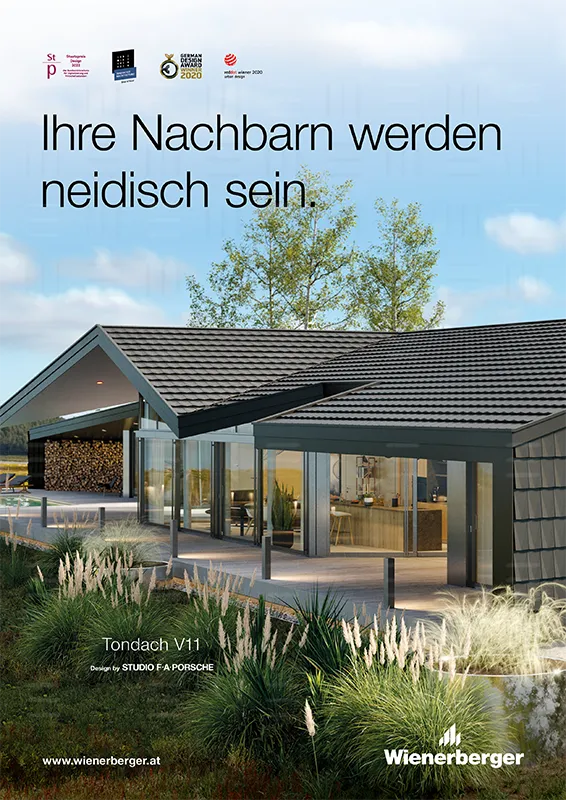 V11 Inserat Neid